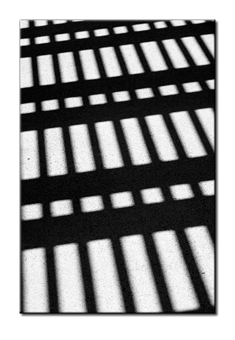 IMG_8756 BW4.jpg