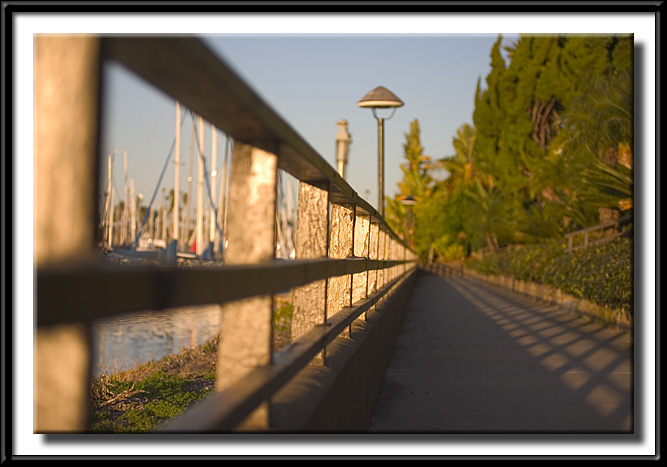 CRW_0100.jpg