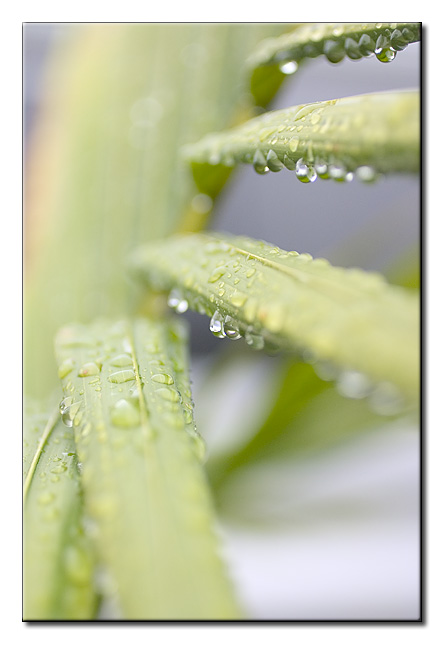 CRW_0910.jpg