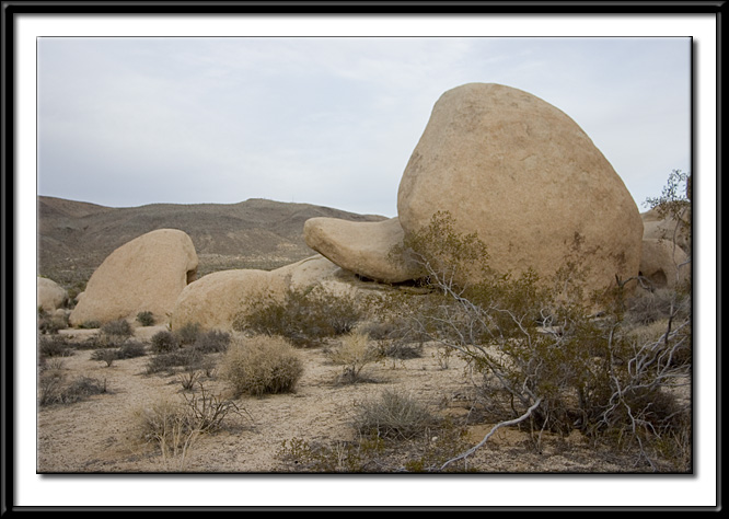 CRW_3020.jpg