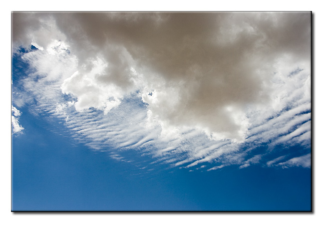 CRW_3169.jpg