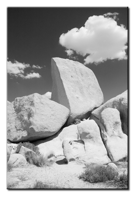CRW_3121.jpg