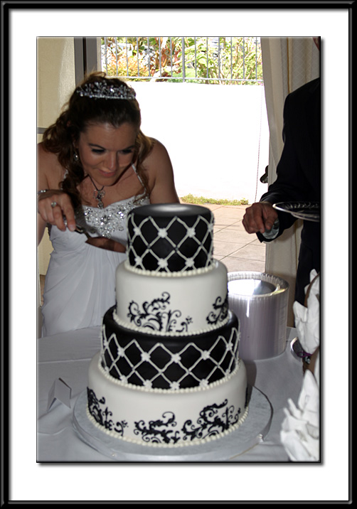 IMG_3741.jpg
