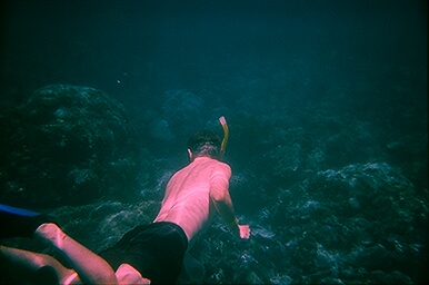 Looking for Mermaid at Twelve Feet Below (21620015.JPG)