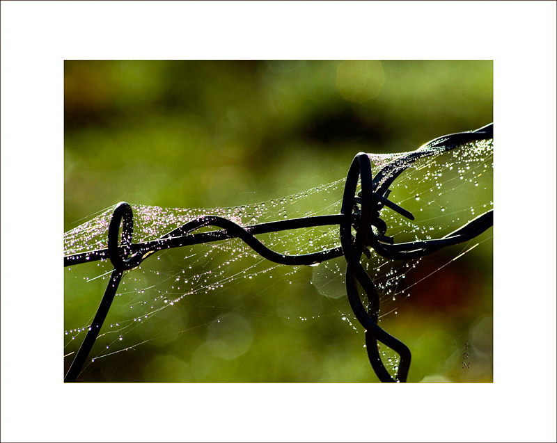 Dancing on the wire