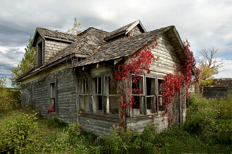 Falling down house