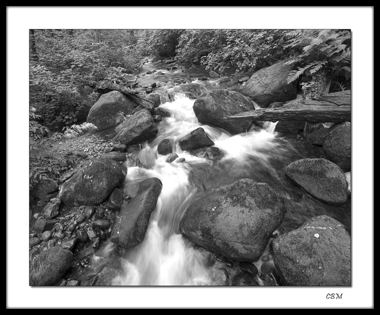 02692 Running water net bw.jpg