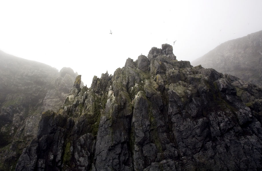 A million pairs of seabirds nest here.