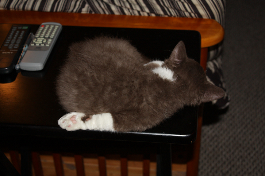 momo_IMG_9784.JPG
