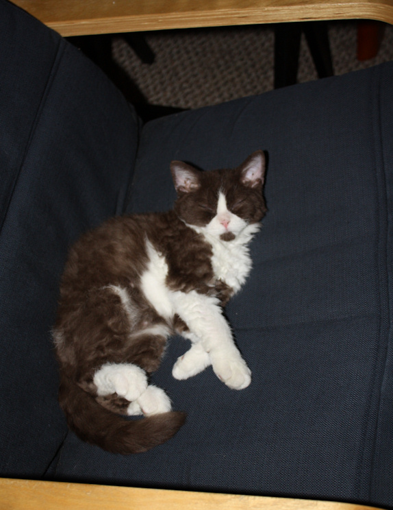 momo_IMG_9783.JPG