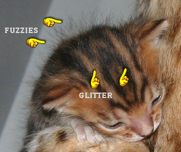 fuzzies and glitter
