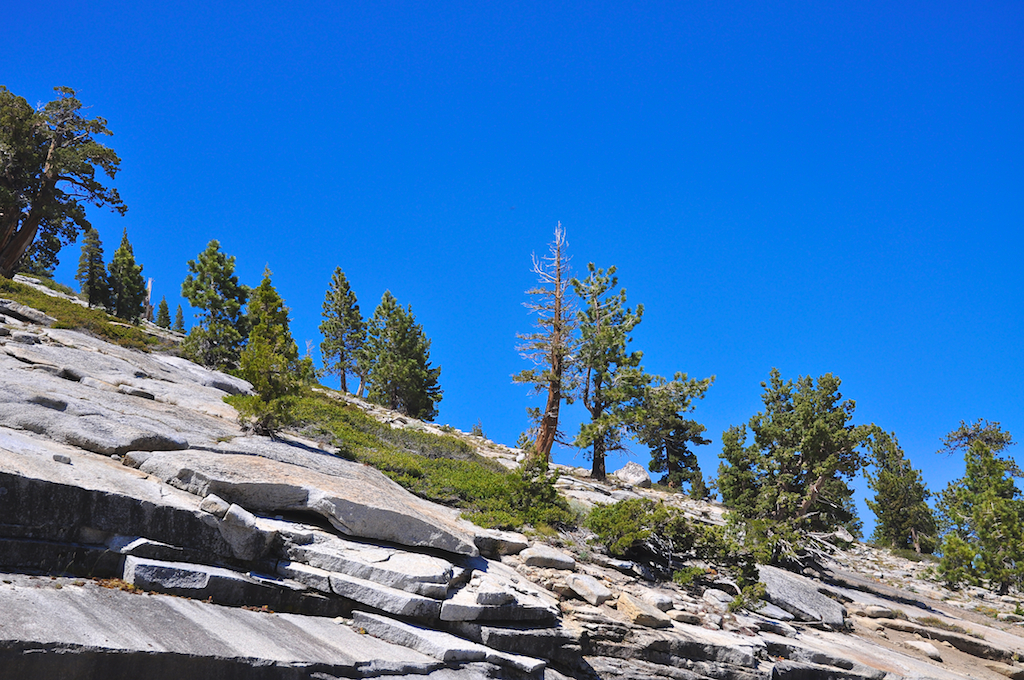 Yosemite, Tioga Road