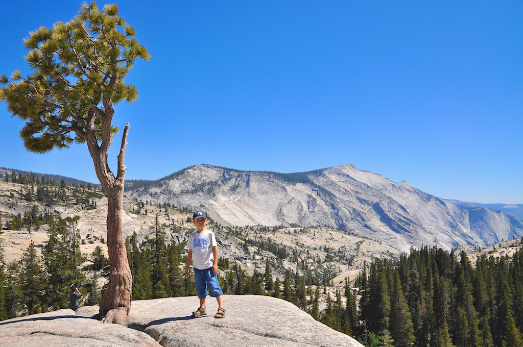 Yosemite Olmsted Point