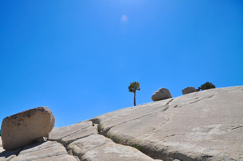 Yosemite Olmsted Point