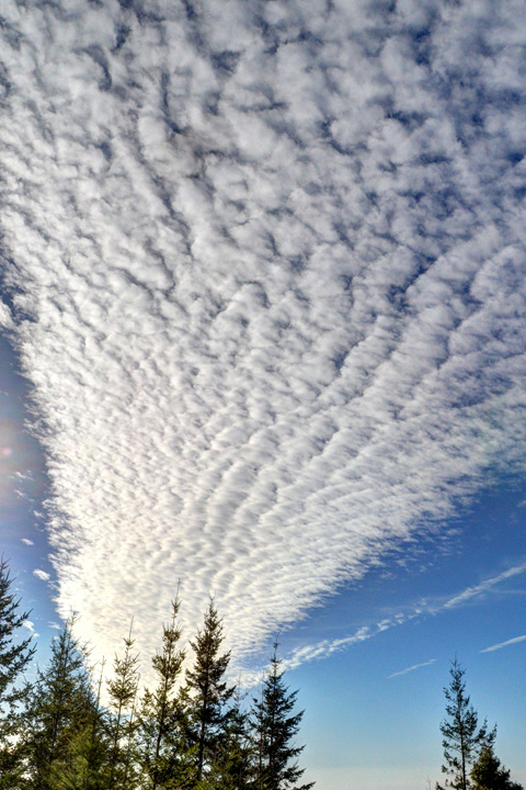 Cloud Path