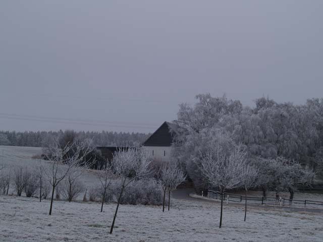 Farm House in Ice