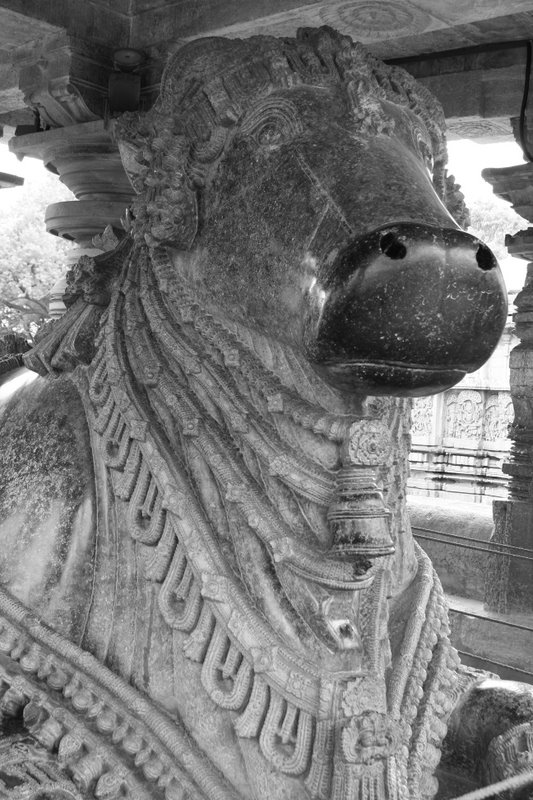 Nandi 1 in Halebidu, 6th largest in India