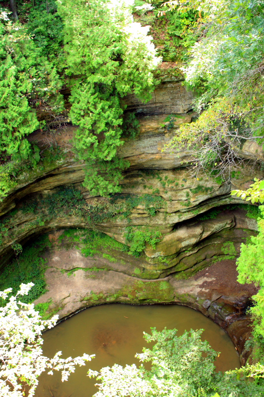 Water hole, Starved Rock State Park, IL