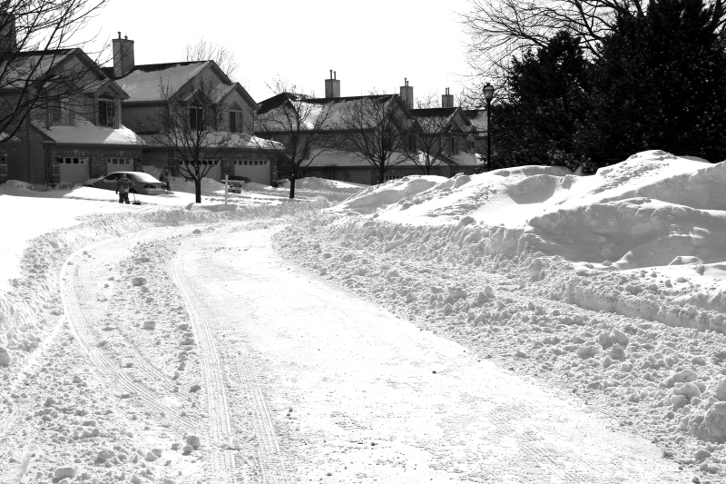Chicago Blizzard 2011, Palatine, IL