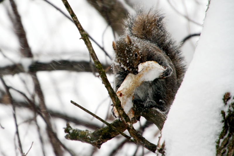 Keeping warm, Chicago, IL