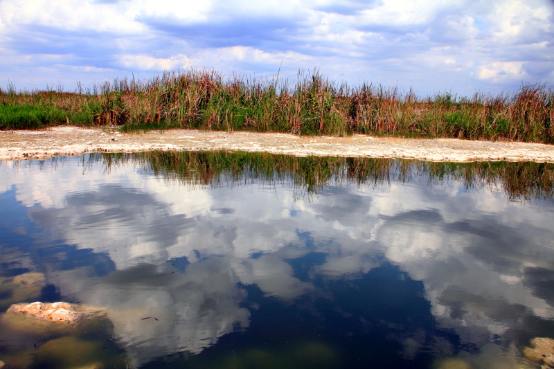 Everglades National Park, Shark Valley, Florida