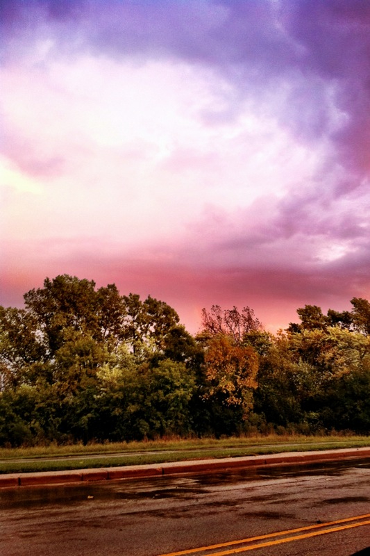 Rainfall or Rain + Fall , Palatine, IL