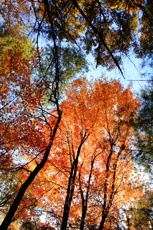 Mirror Lake State Park, Wisconsin