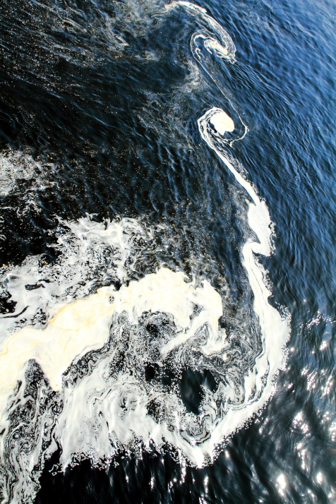 Mississippi River foam