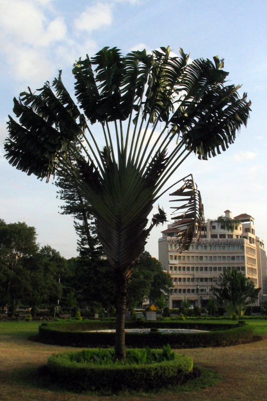 Jewels De Paragon, Bangalore