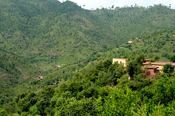 Village