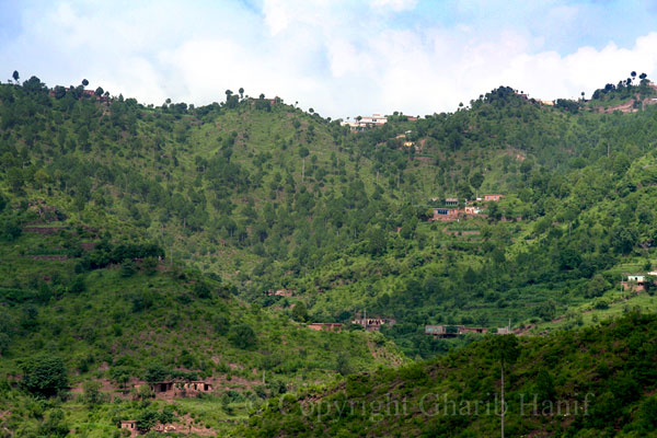 Village