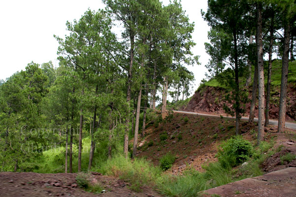 Road