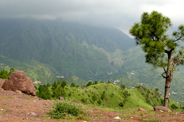 Mountain