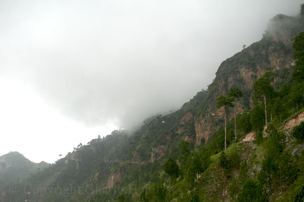 Mountain