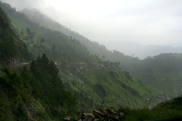 Mountain