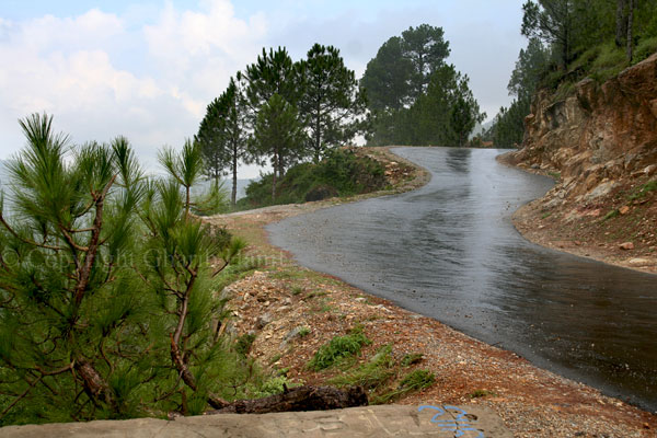 Road