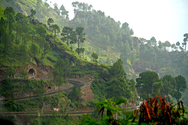 Mountain