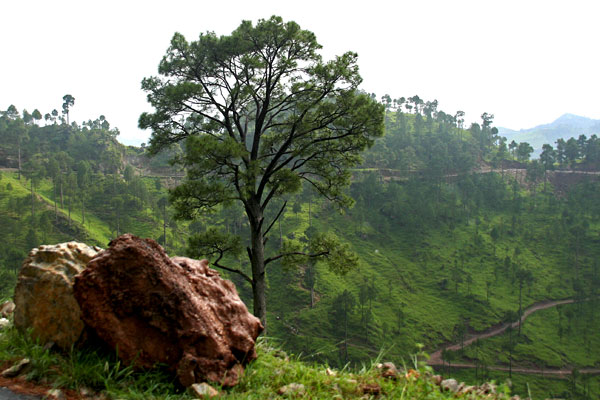 Mountain