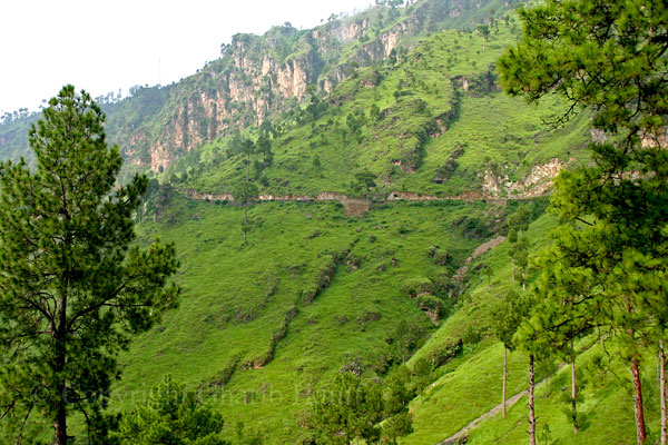 Mountain