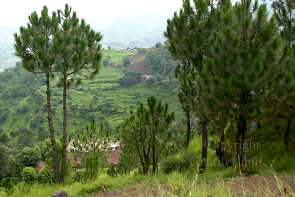 Village