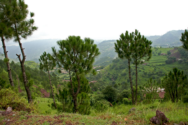 Villages