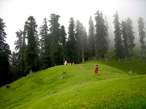Doori Choo, Sudhan Gali
