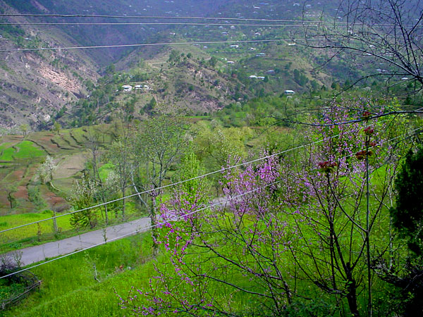 Saver-Bagh Road