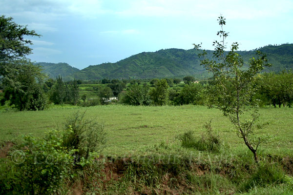 Village