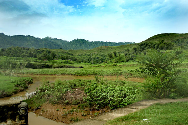 Fields