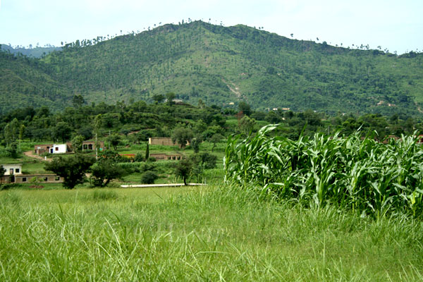 Village