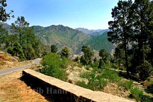Road