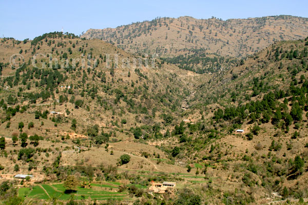 Village