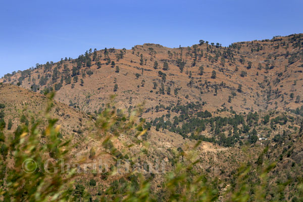 Village