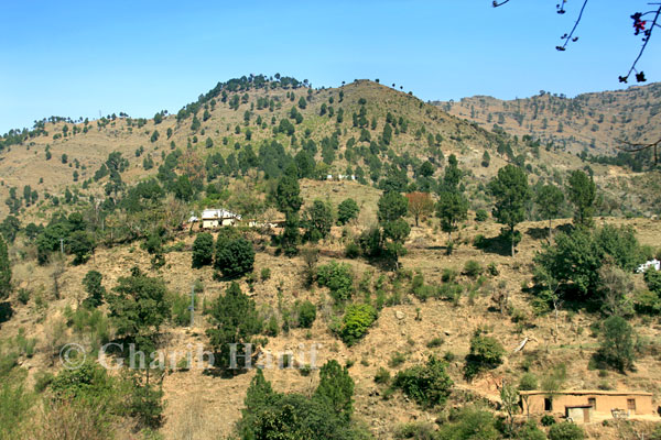 Village near Drieer